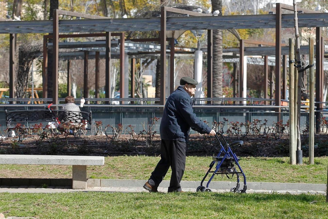 Abuelos para la conciliación. Ciudad Jardín no es uno de los barrios más castigados por el paro de la capital. De hecho posee una de las rentas más altas de la capital, incluso por encima de la media, situándose en los 27.682 euros. Gran parte de sus vecinos necesitan de la ayuda de sus padres para poder conciliar la vida laboral. Por las mañanas es habitual en el parque Juan Carlos I ver a los abuelos con sus nietos.