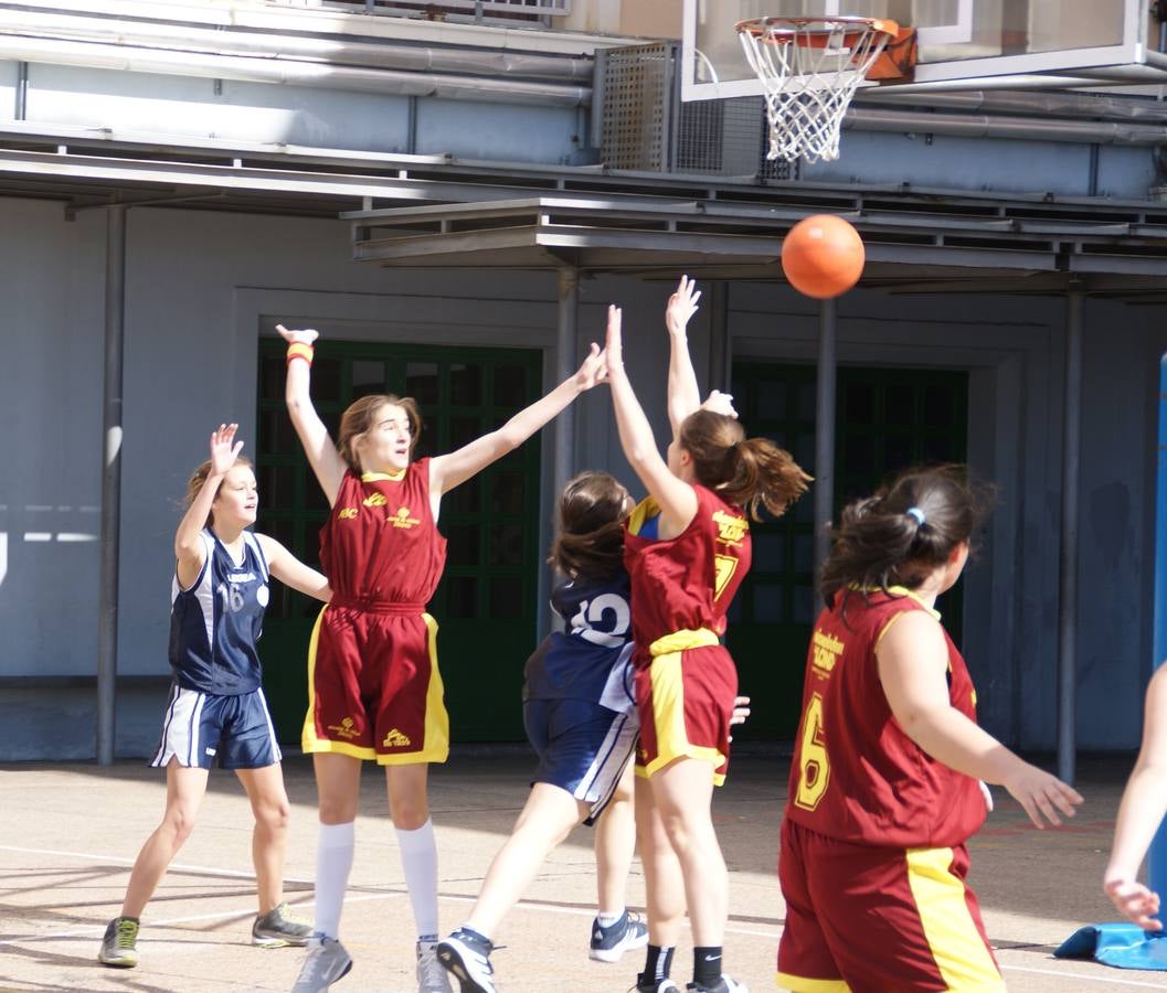 Baloncesto: Nuestra Señora de las Maravillas vs Virgen de Atocha
