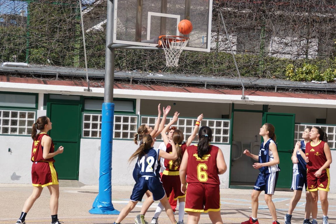 Baloncesto: Nuestra Señora de las Maravillas vs Virgen de Atocha
