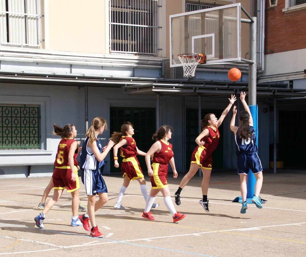 Baloncesto: Nuestra Señora de las Maravillas vs Virgen de Atocha
