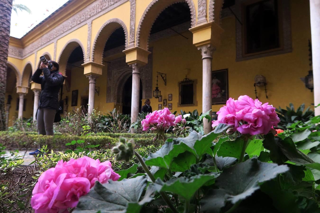 La Casa de las Dueñas se abre a Sevilla