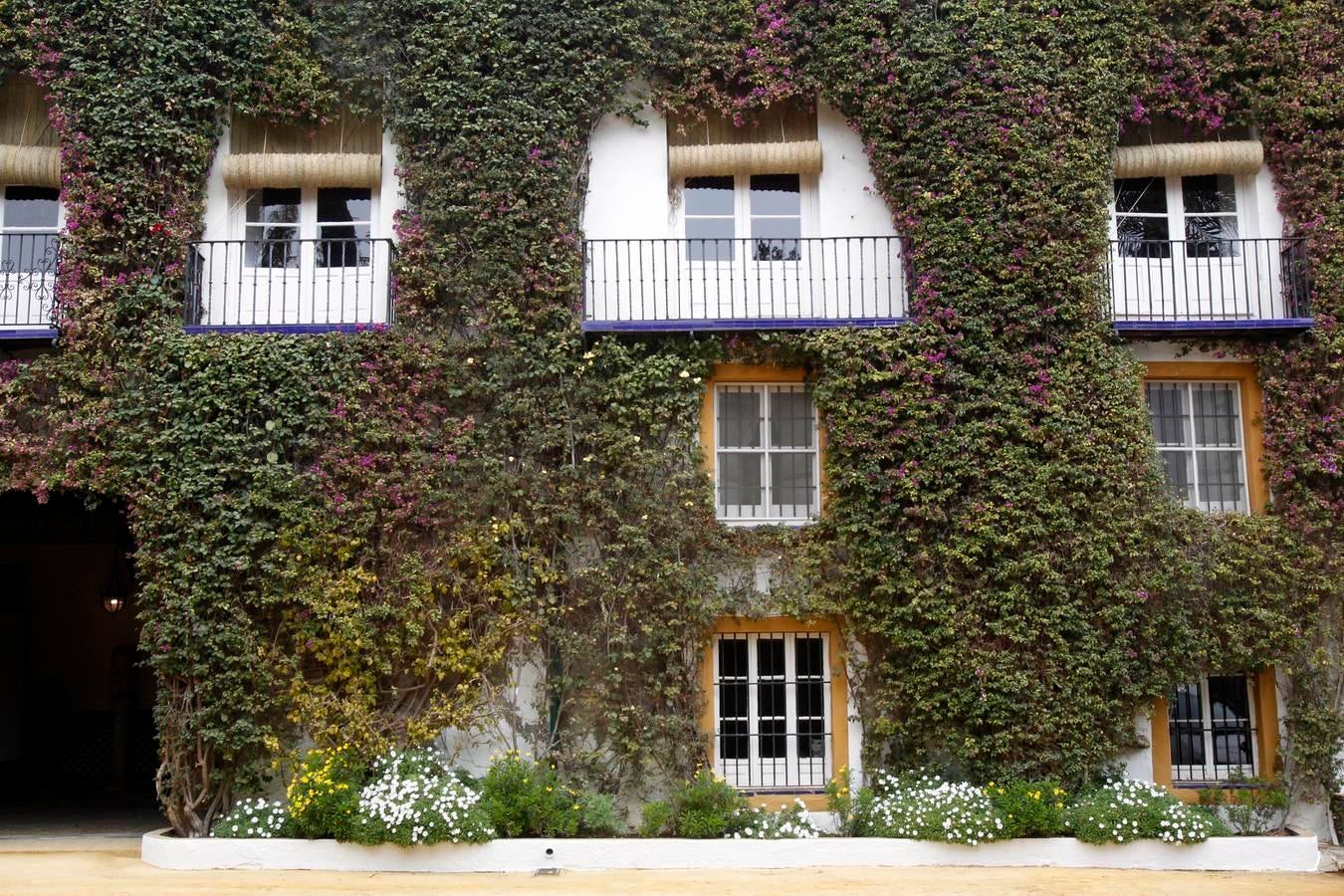 La Casa de las Dueñas se abre a Sevilla