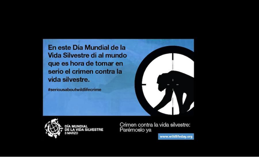 Día Mundial de la Vida Silvestre 2016. Este año el lema elegido es «El futuro de la Vida Silvestre está en tus manos»