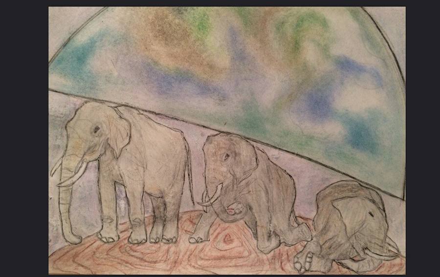 Día Mundial de la Vida Silvestre 2016. 