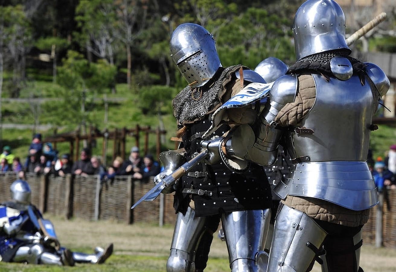 8. Entrenamiento del equipo madrileño de lucha medieval «Ursus Custodes», ayer en el Castillo de Manzanares el Real