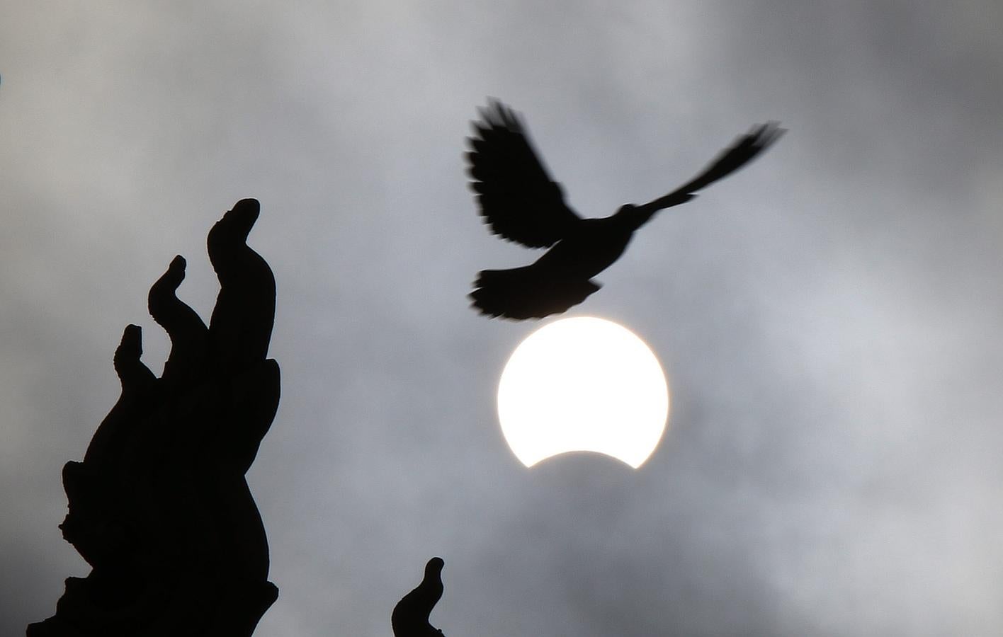 Vista de un pájaro durante el eclipse parcial de sol en Camboya. 