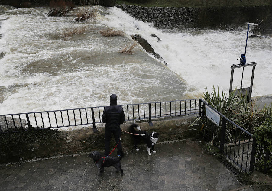 Aspecto que presenta este mediodía el río Ulzama a su paso por la localidad de Villava, en una jornada en la que las lluvias que caen en el norte de la comunidad foral han vuelto a incrementar el cauce de los ríos. 