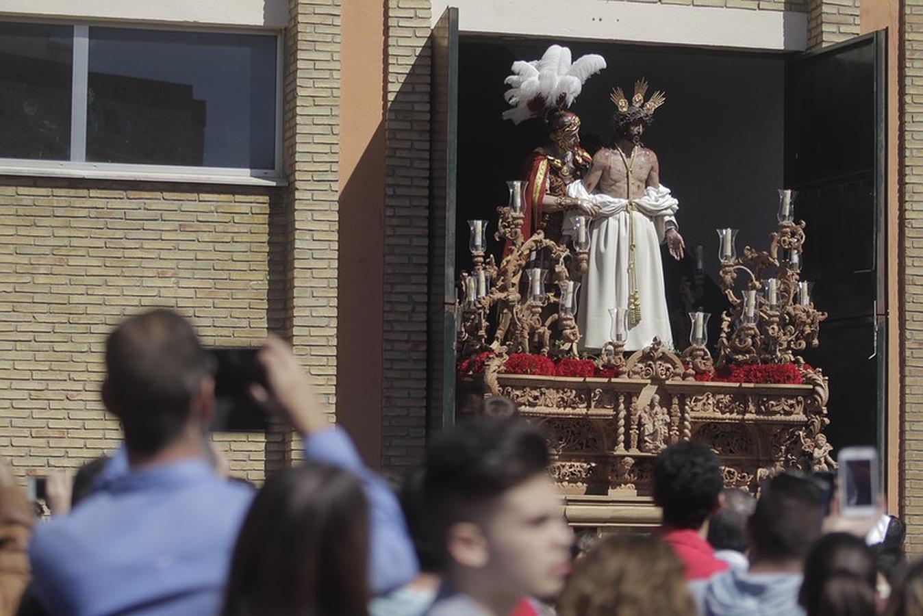 Fotos: Domingo de Ramos en Cádiz