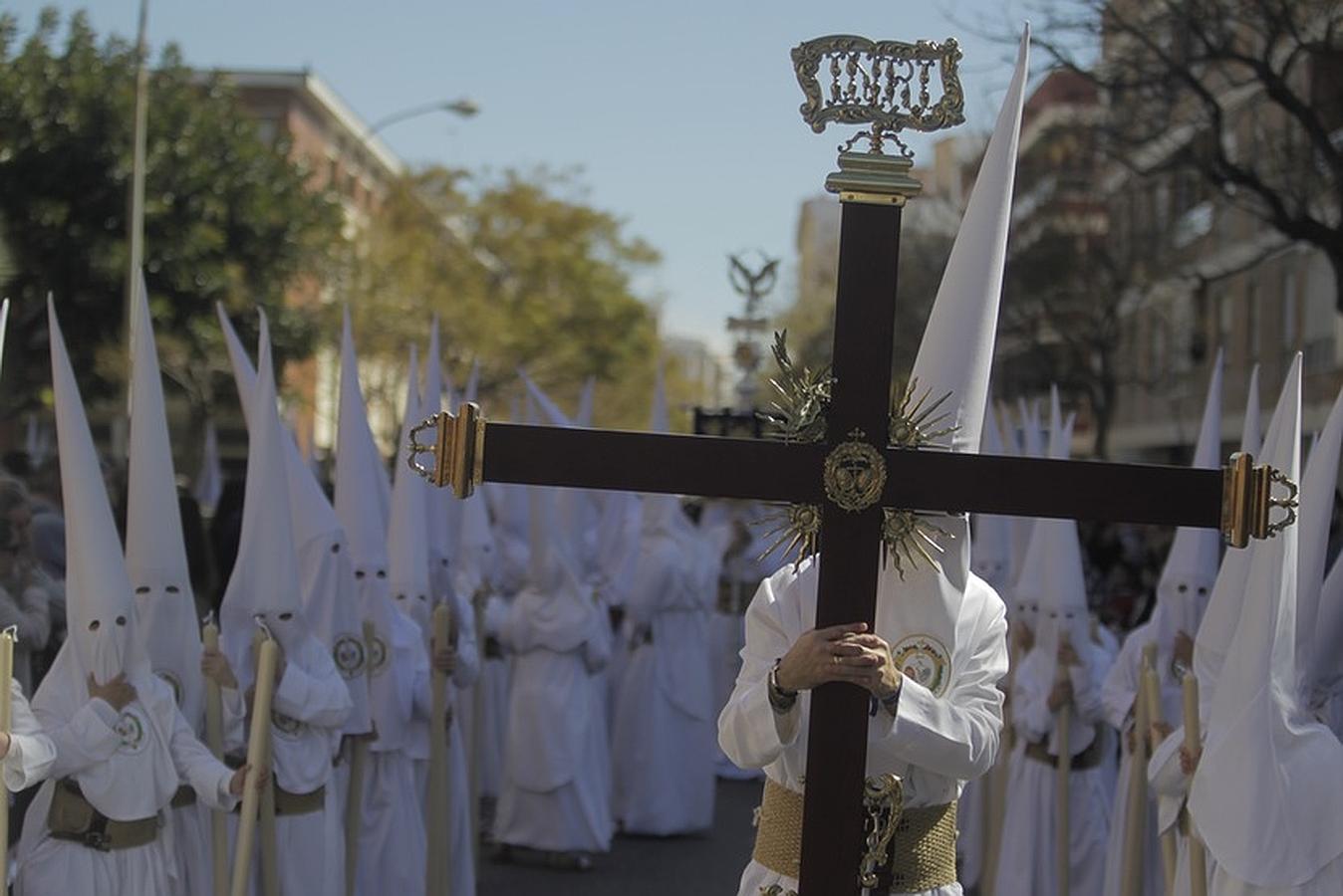 Fotos: Domingo de Ramos en Cádiz