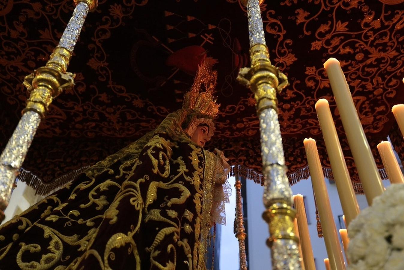 Fotos: Humildad y Paciencia en el Domingo de Ramos. Semana Santa en Cádiz 2016