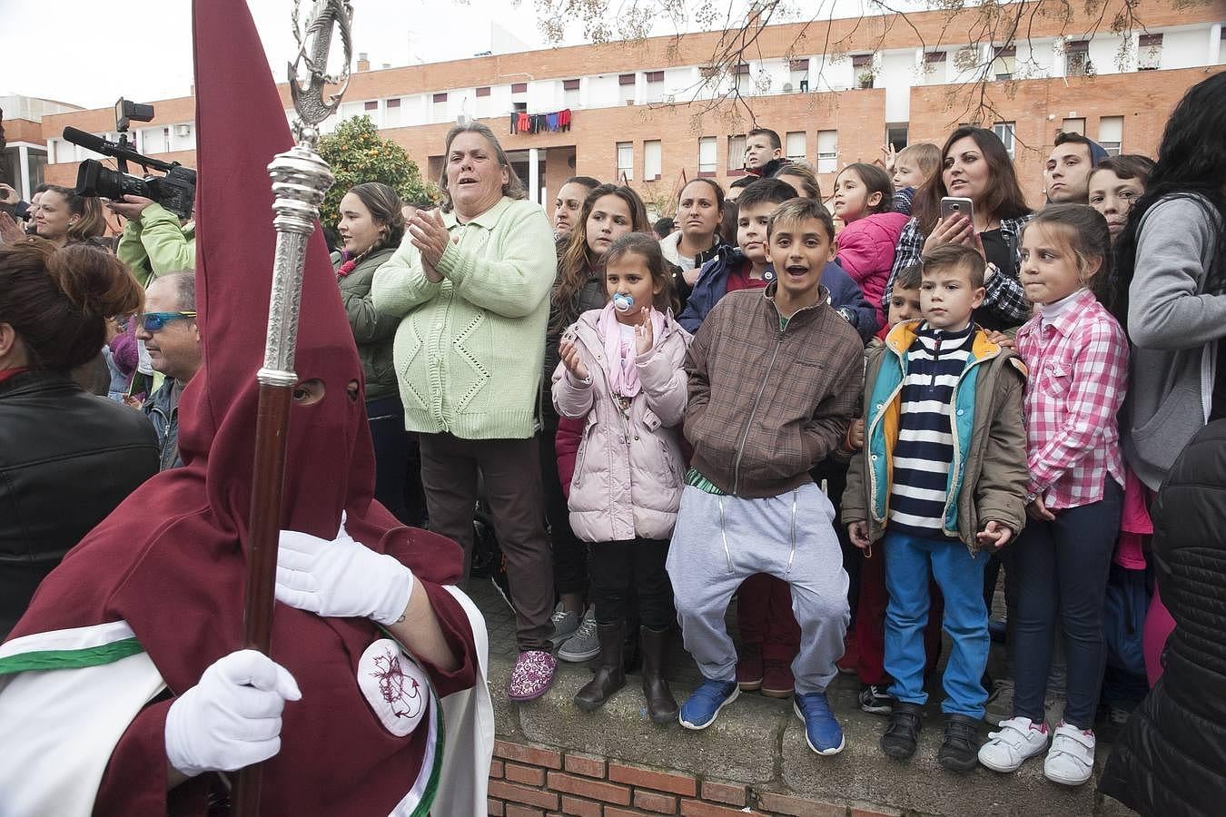 Las mejores imágenes de la Piedad