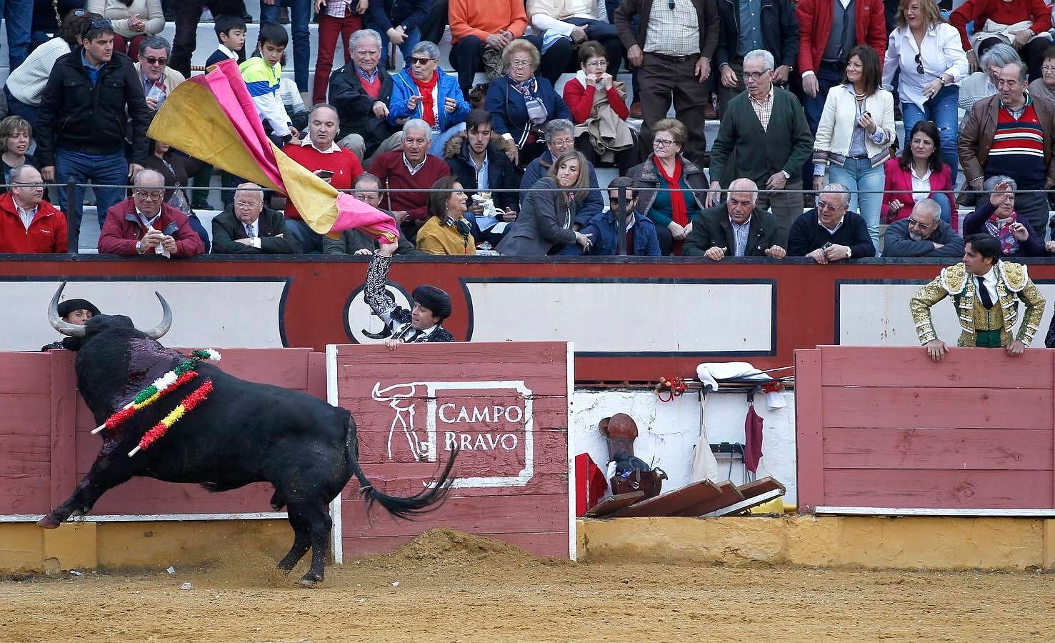 El festejo del Sábado Gloria de Cabra, en imágenes