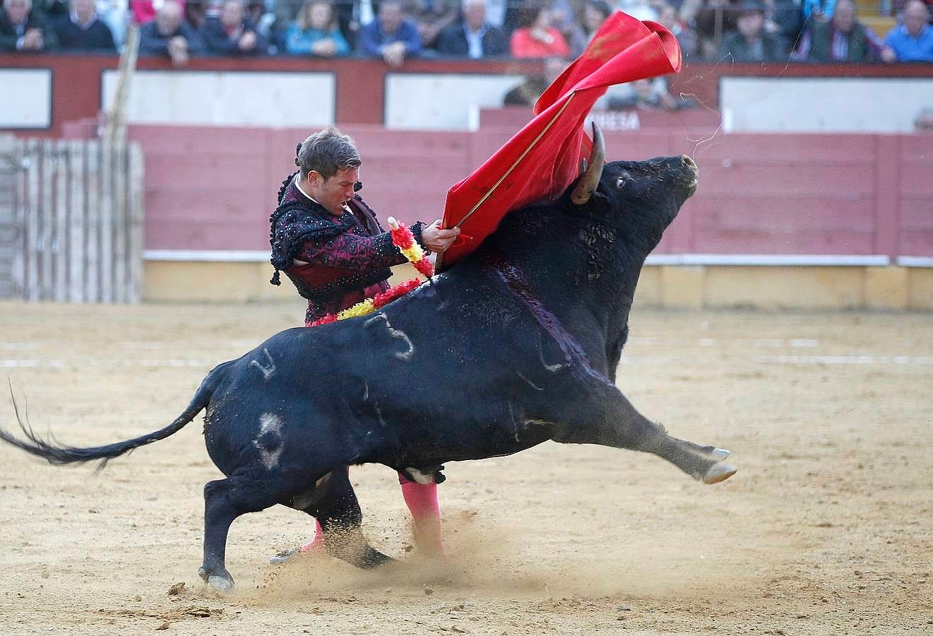 El festejo del Sábado Gloria de Cabra, en imágenes