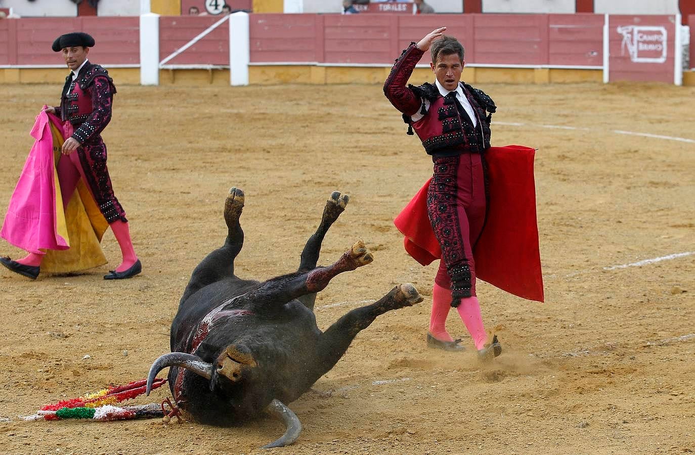 El festejo del Sábado Gloria de Cabra, en imágenes