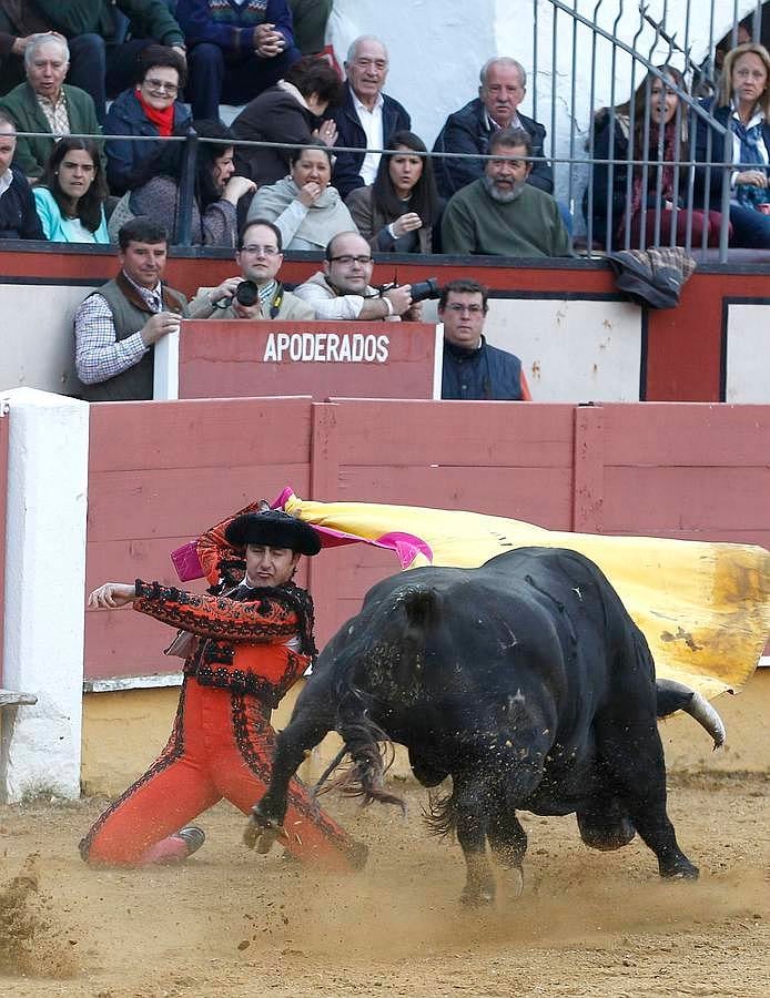 El festejo del Sábado Gloria de Cabra, en imágenes