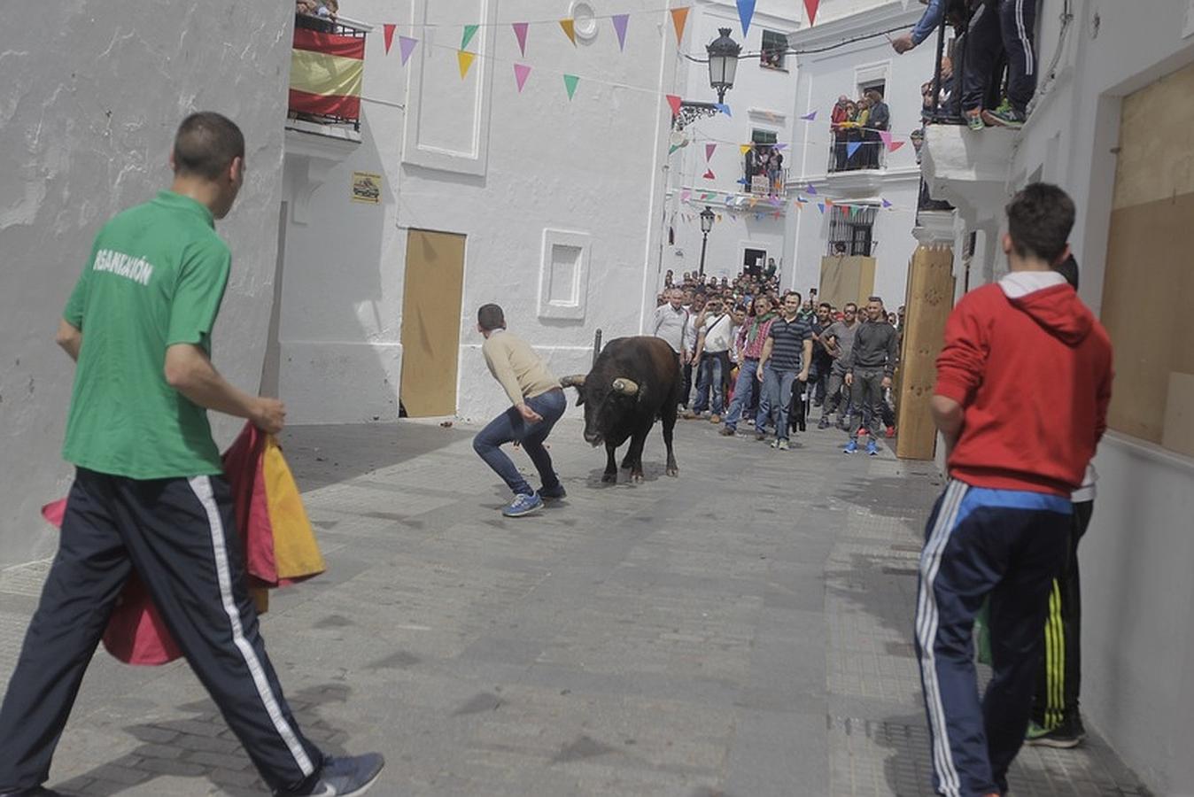 La lluvia desluce el tradicional toro &#039;embolao&#039; de Vejer