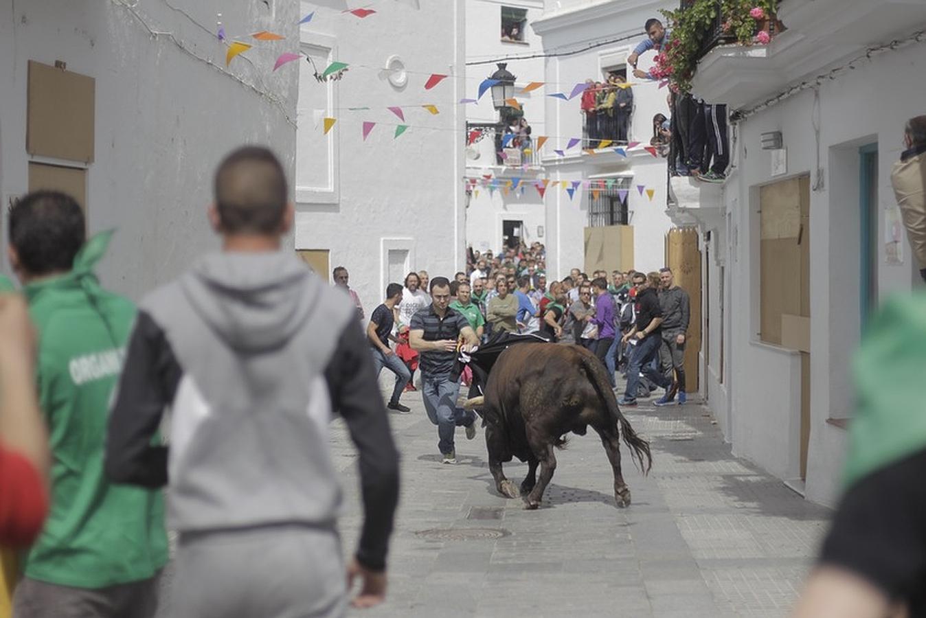 La lluvia desluce el tradicional toro &#039;embolao&#039; de Vejer