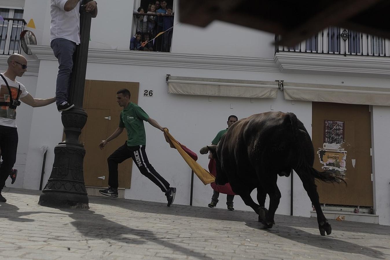 La lluvia desluce el tradicional toro &#039;embolao&#039; de Vejer