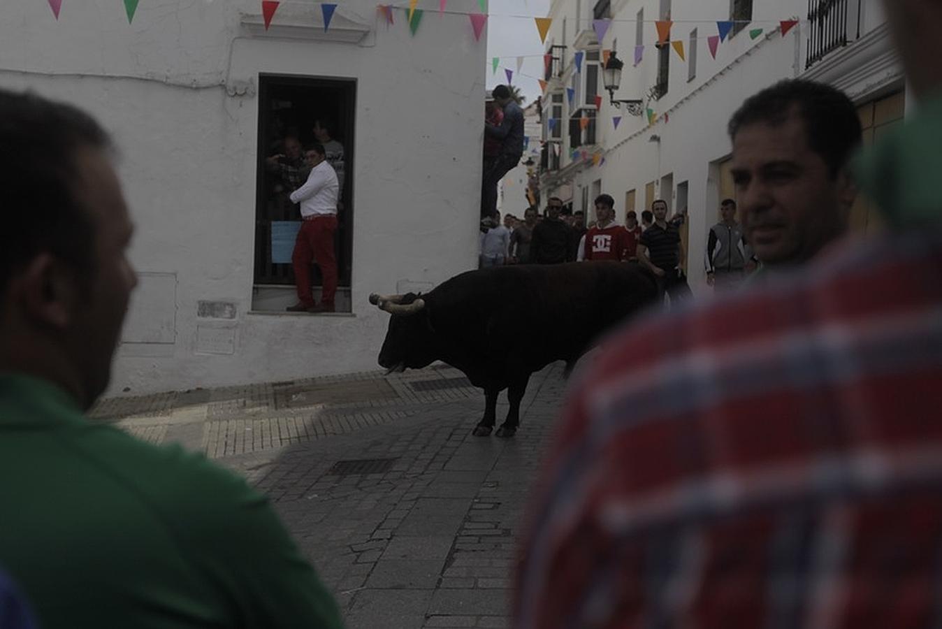 La lluvia desluce el tradicional toro &#039;embolao&#039; de Vejer