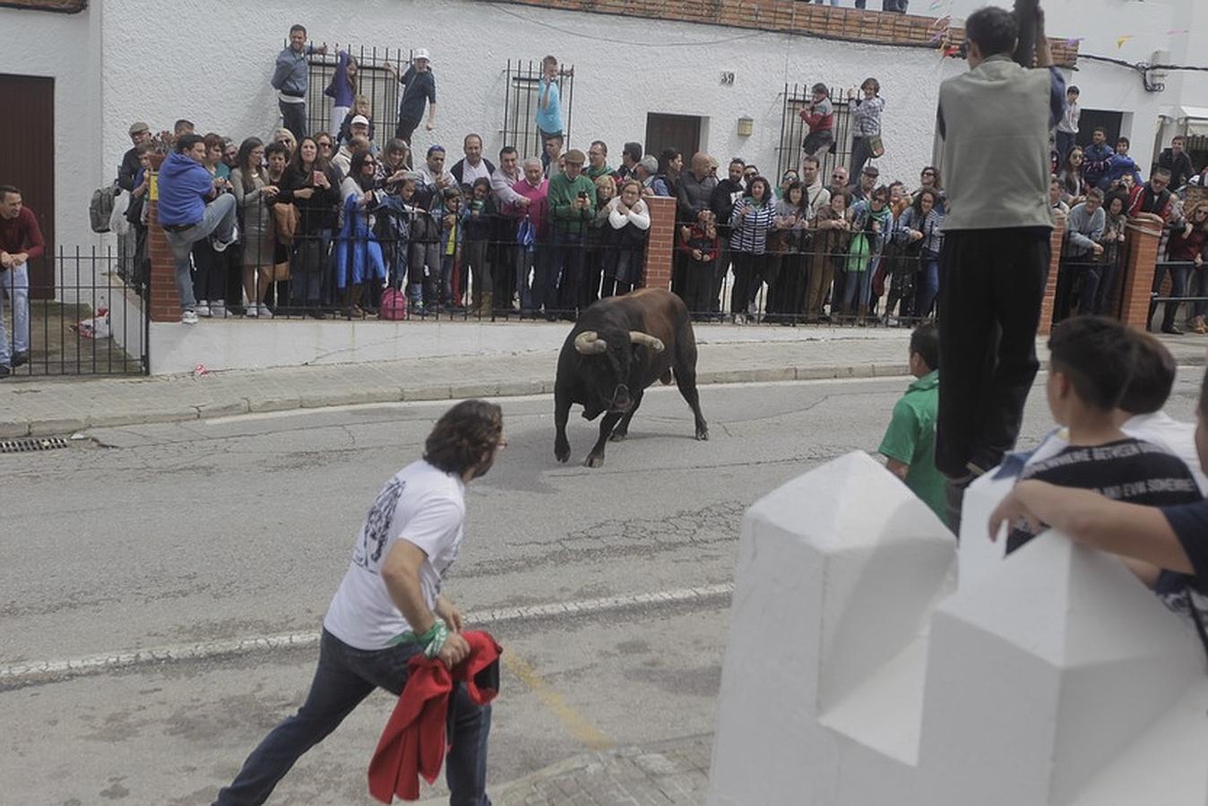 La lluvia desluce el tradicional toro &#039;embolao&#039; de Vejer