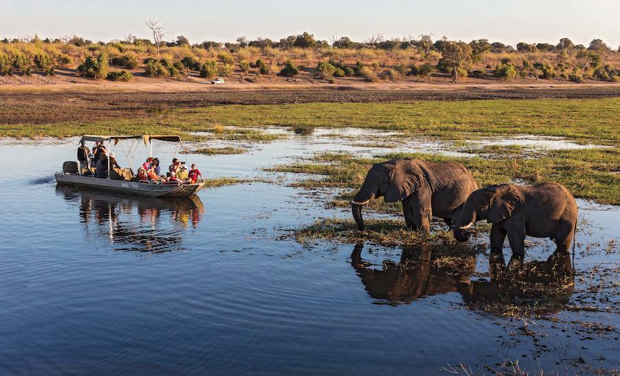 Botsuana, naturaleza en estado puro. El Delta del Okavango, el delta interior más grande del mundo posee lagunas y cursos de agua estacionales repletos de pájaros revoloteando, mientras que las cebras y jirafas deambulan por las vastas llanuras. Fotos: The African Experiences