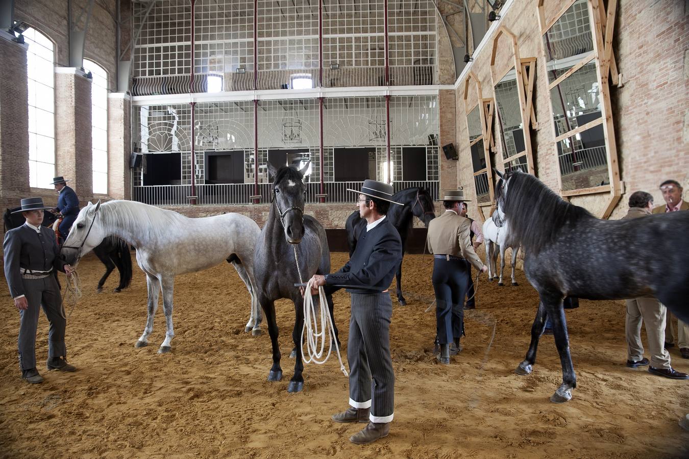 El caballo, protagonista del fin de semana en Córdoba