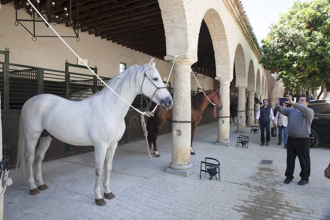 El caballo, protagonista del fin de semana en Córdoba