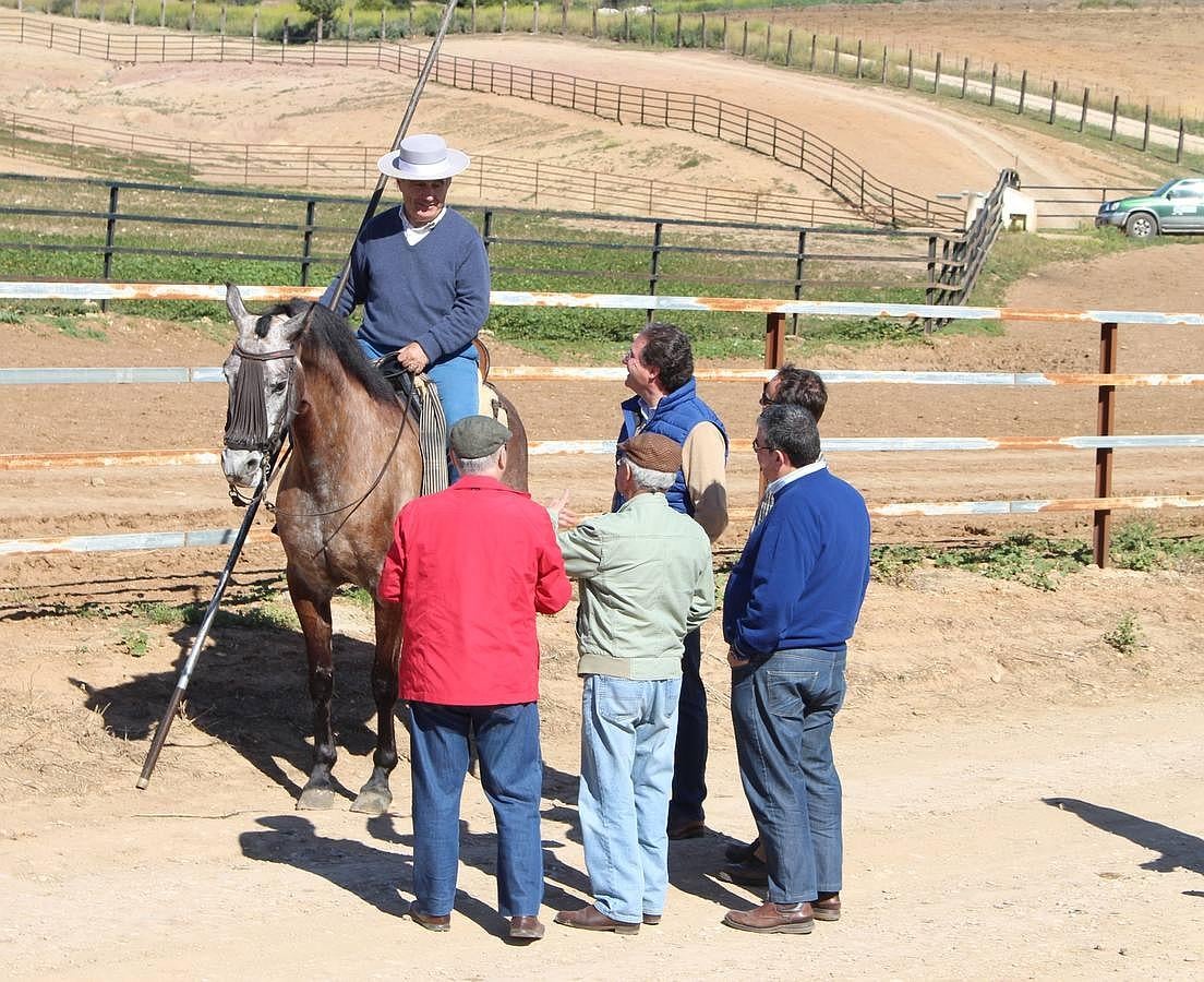 Visita a la ganadería de Fuente Ymbro, foto a foto