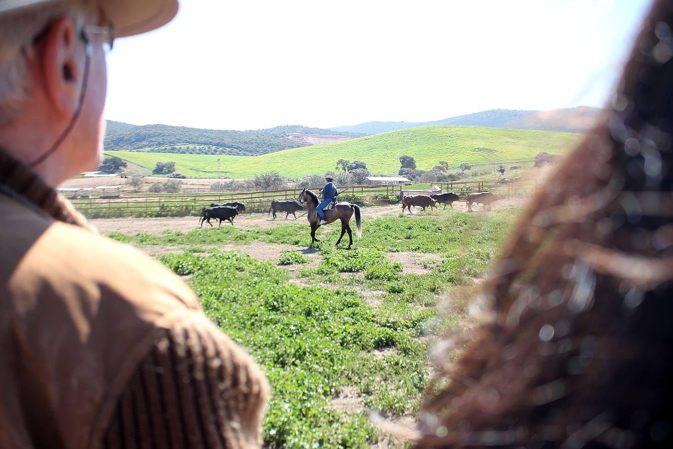 Visita a la ganadería de Fuente Ymbro, foto a foto