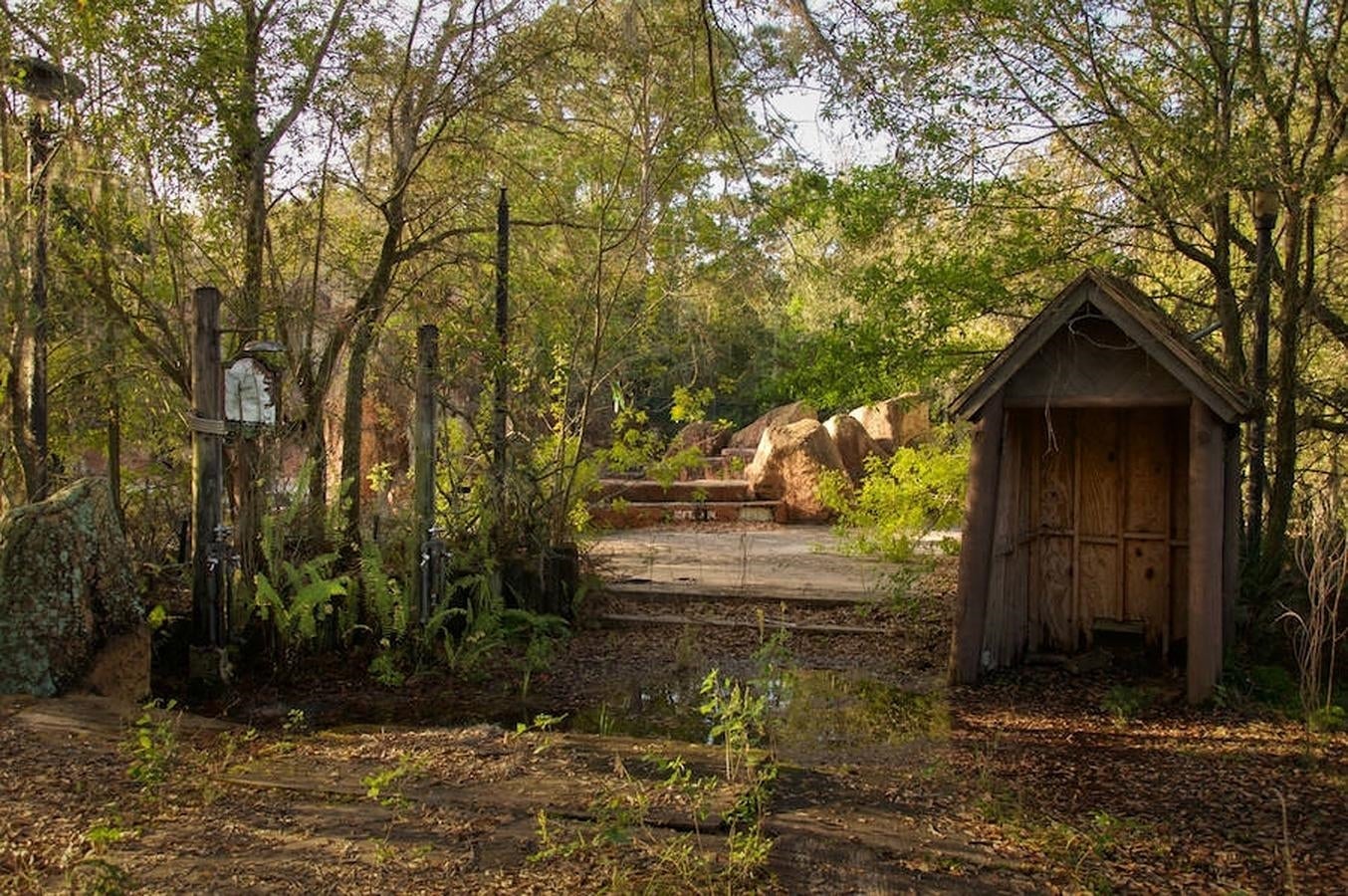 River Country. La vegetación crece a su antojo en lo que fue un frecuentado parque acuático de Disney