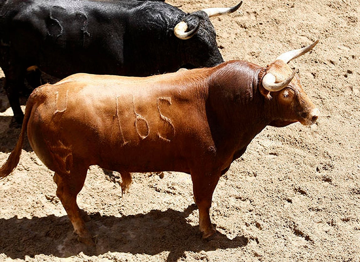 Estos son los juampedros para Ponce, Manzanares y Roca en la Feria de Abril