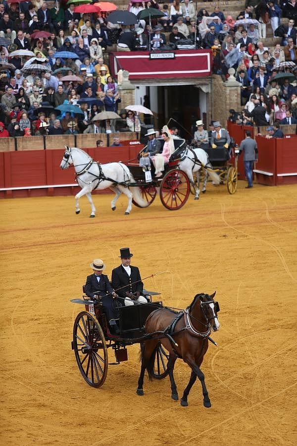 Exhibición de enganches en la Maestranza