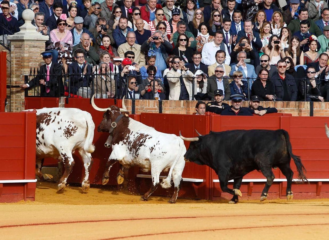 La corrida del martes en la Maestranza, en imágenes