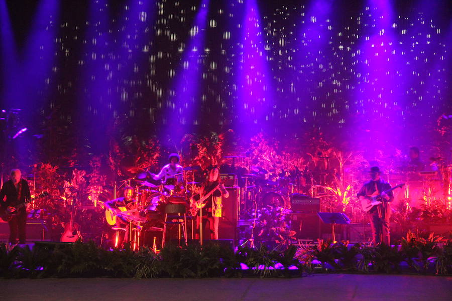 6. Juego de luces durante el ensayo