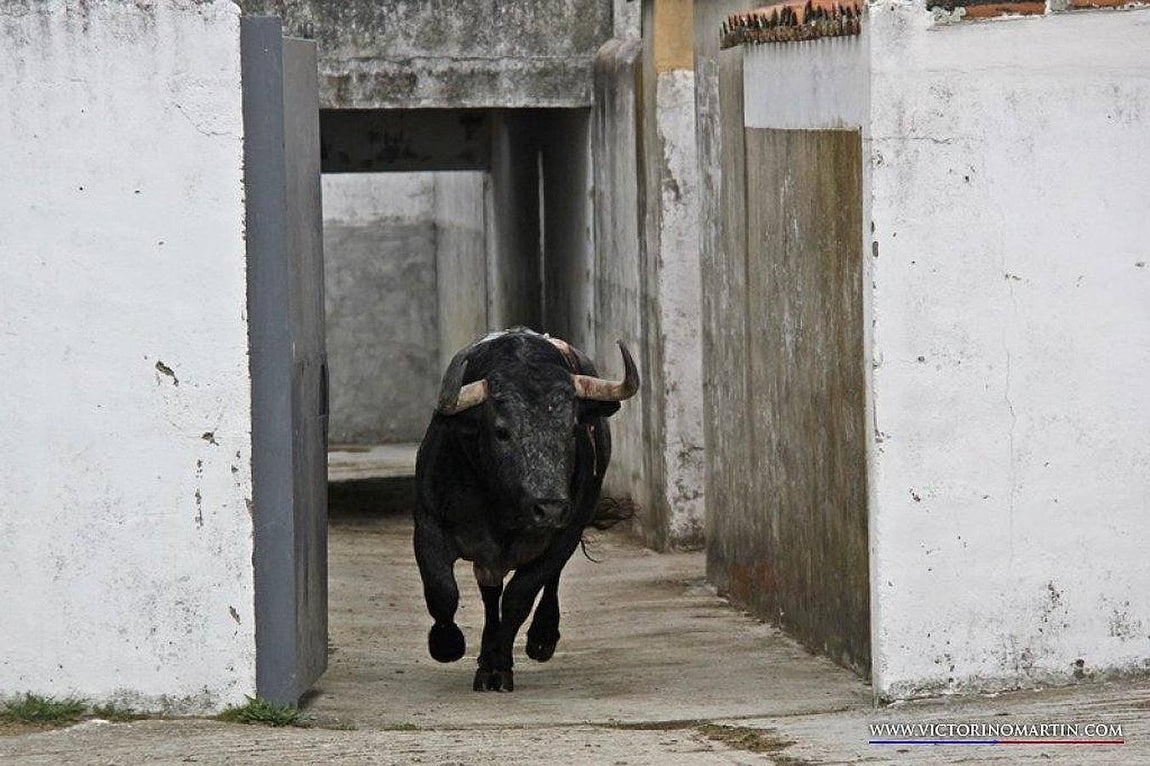 «Cobradiezmos», de vuelta a «casa». 
