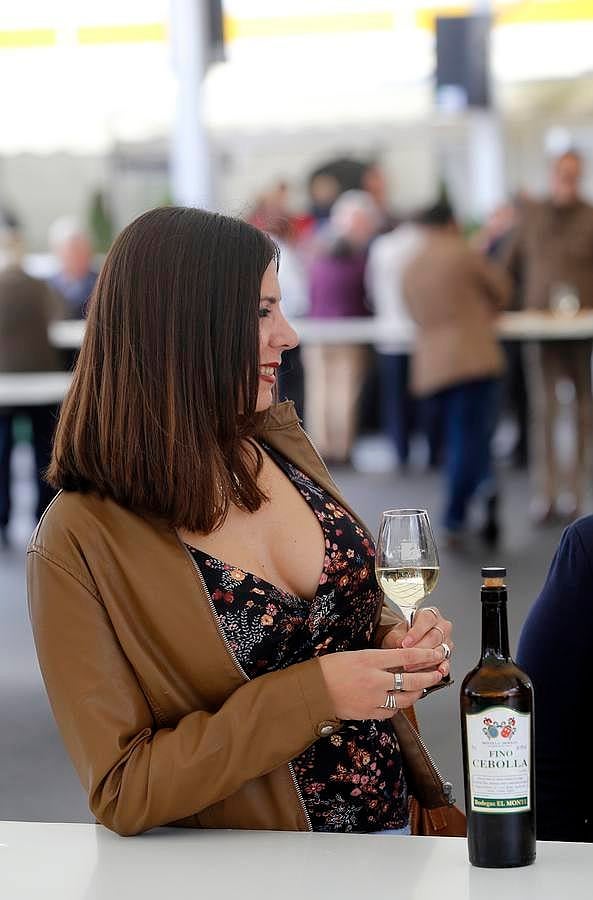 En imágenes, el arranque de la Cata del Vino Montilla-Moriles