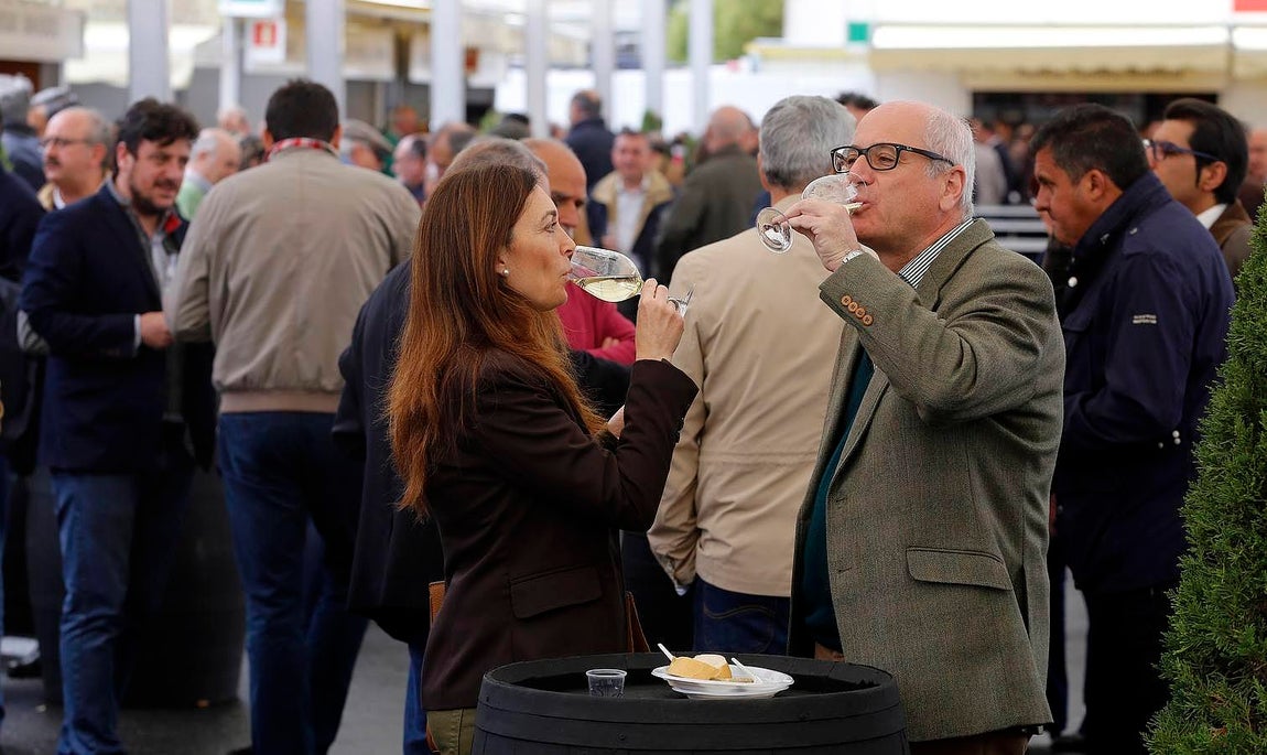 En imágenes, el arranque de la Cata del Vino Montilla-Moriles