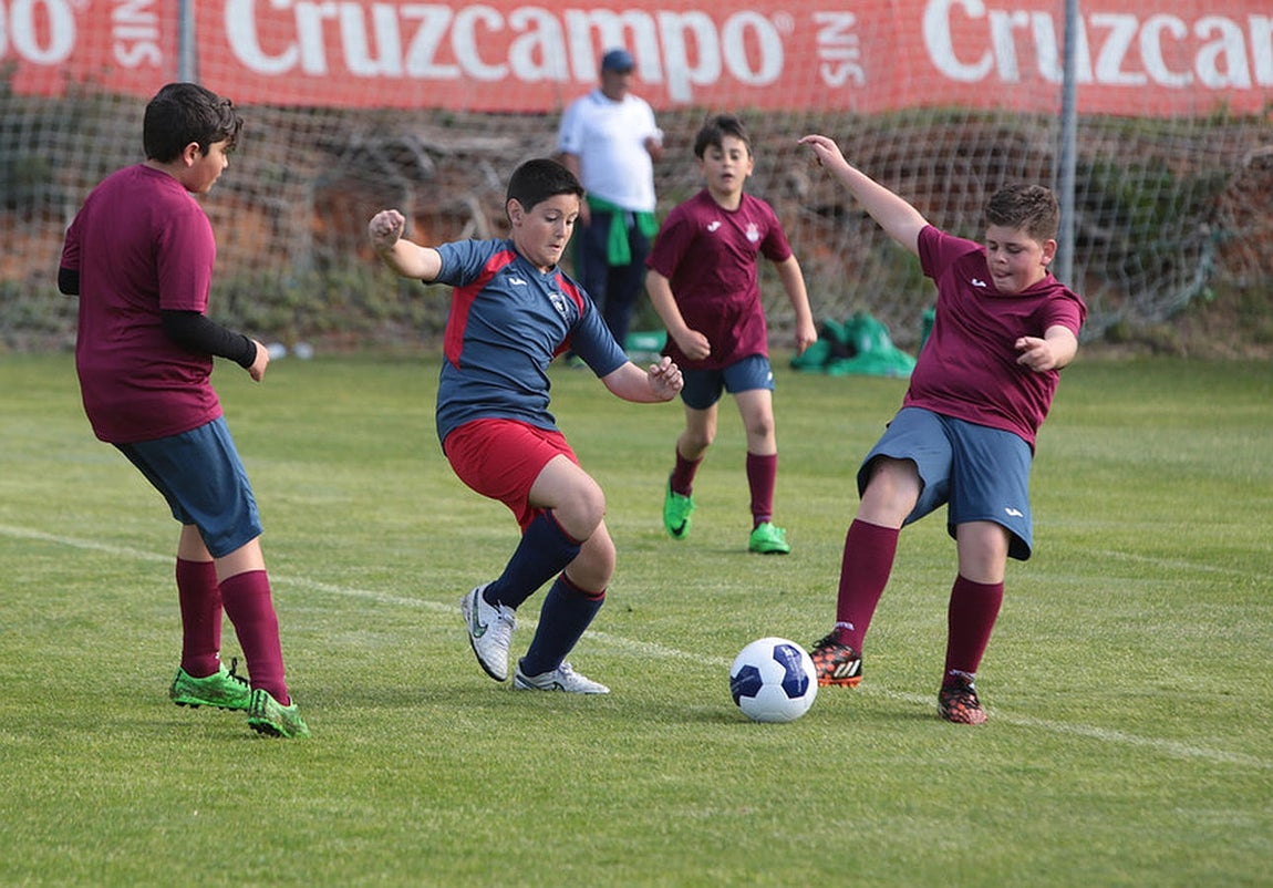 Fotos: Copa Diputación de escuelas de fútbol en El Rosal