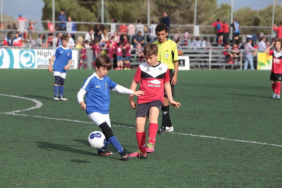 Fotos: Copa Diputación de escuelas de fútbol en El Rosal