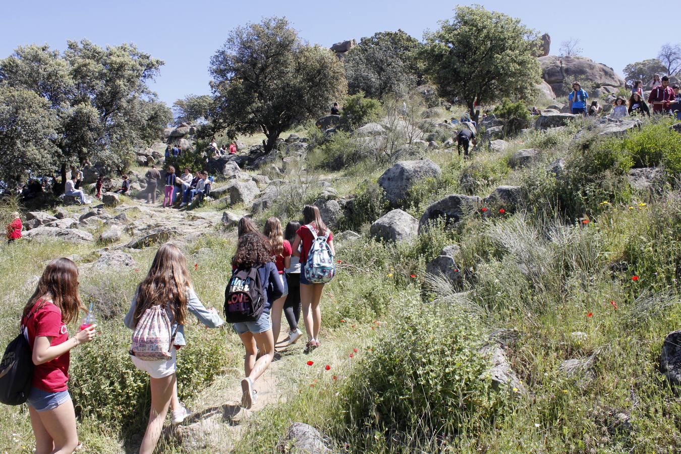 El día del Valle, en imágenes