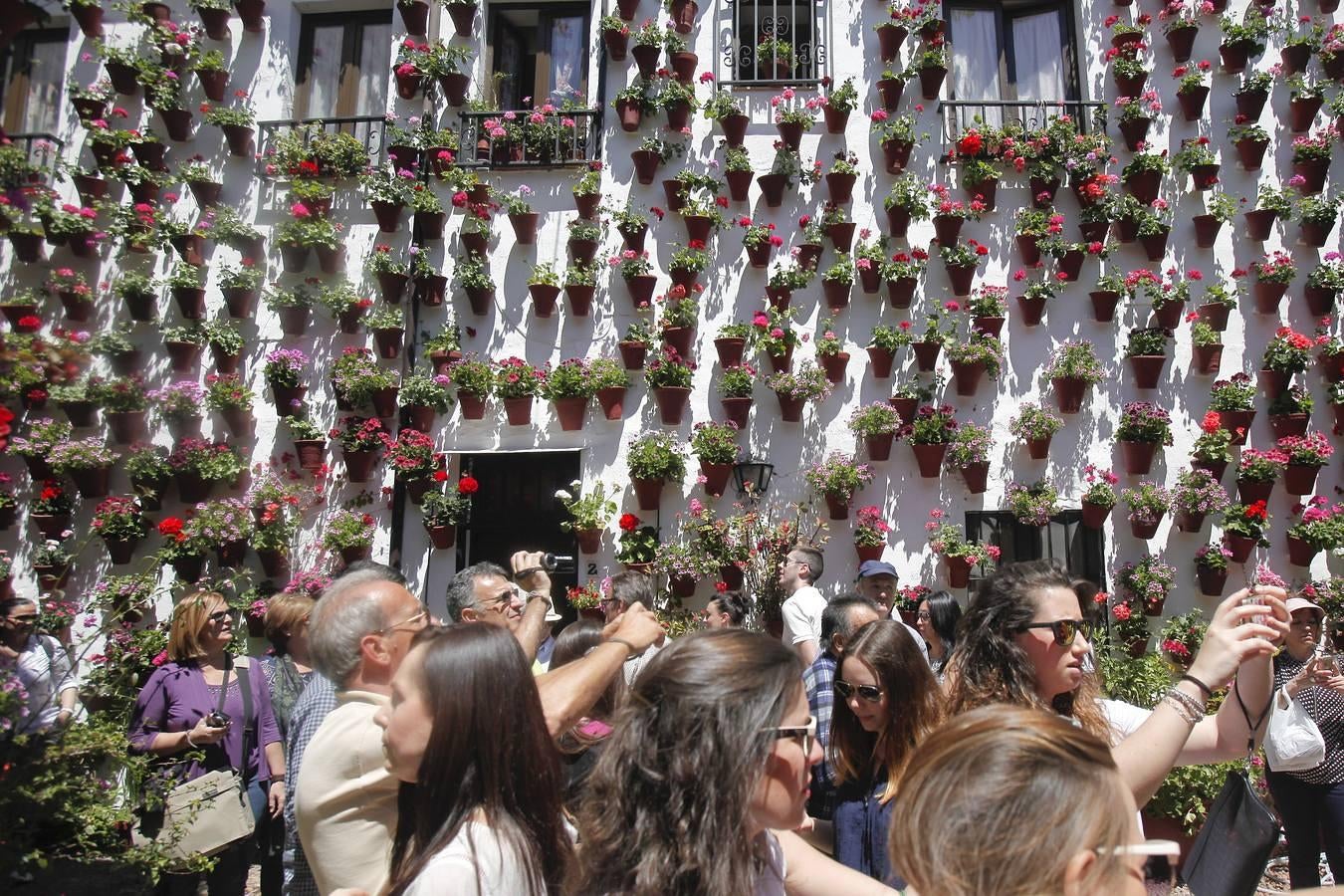 La primera jornada de los Patios, en imágenes