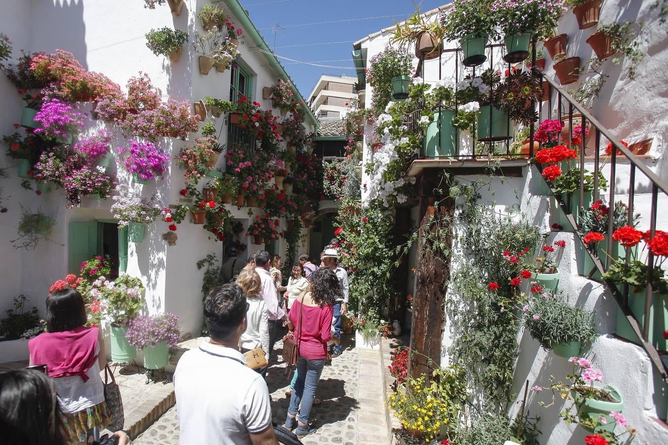 La primera jornada de los Patios, en imágenes