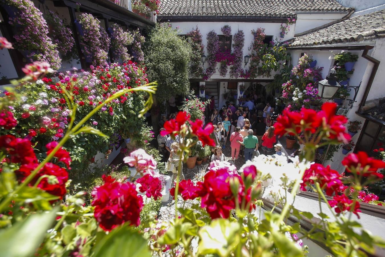 La primera jornada de los Patios, en imágenes