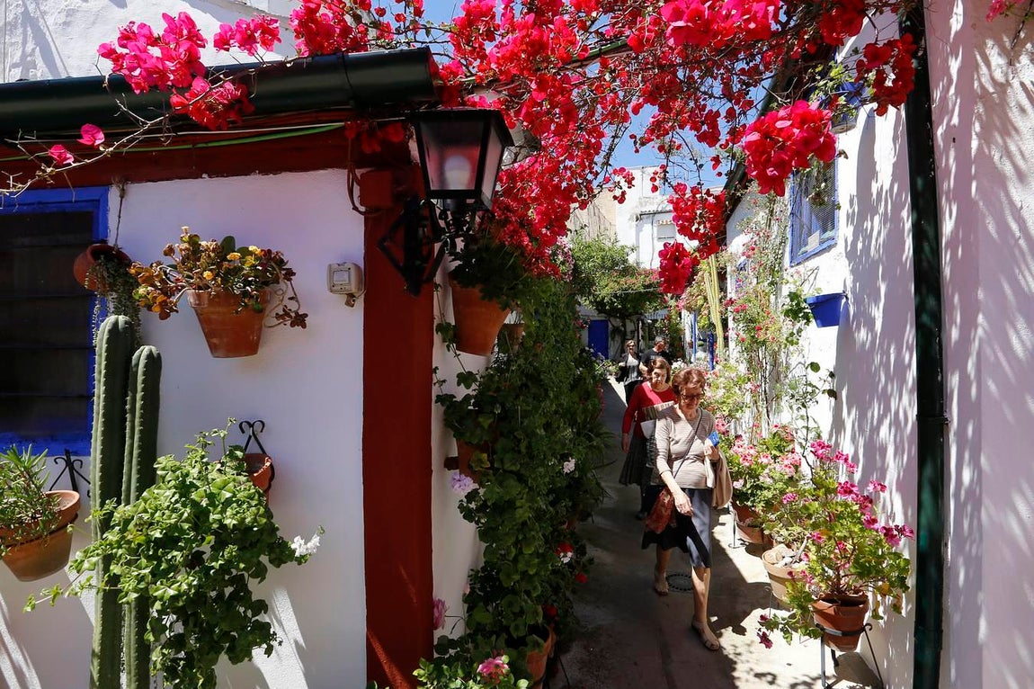 En imágenes, los Patios de Santa Marina y San Agustín en Córdoba