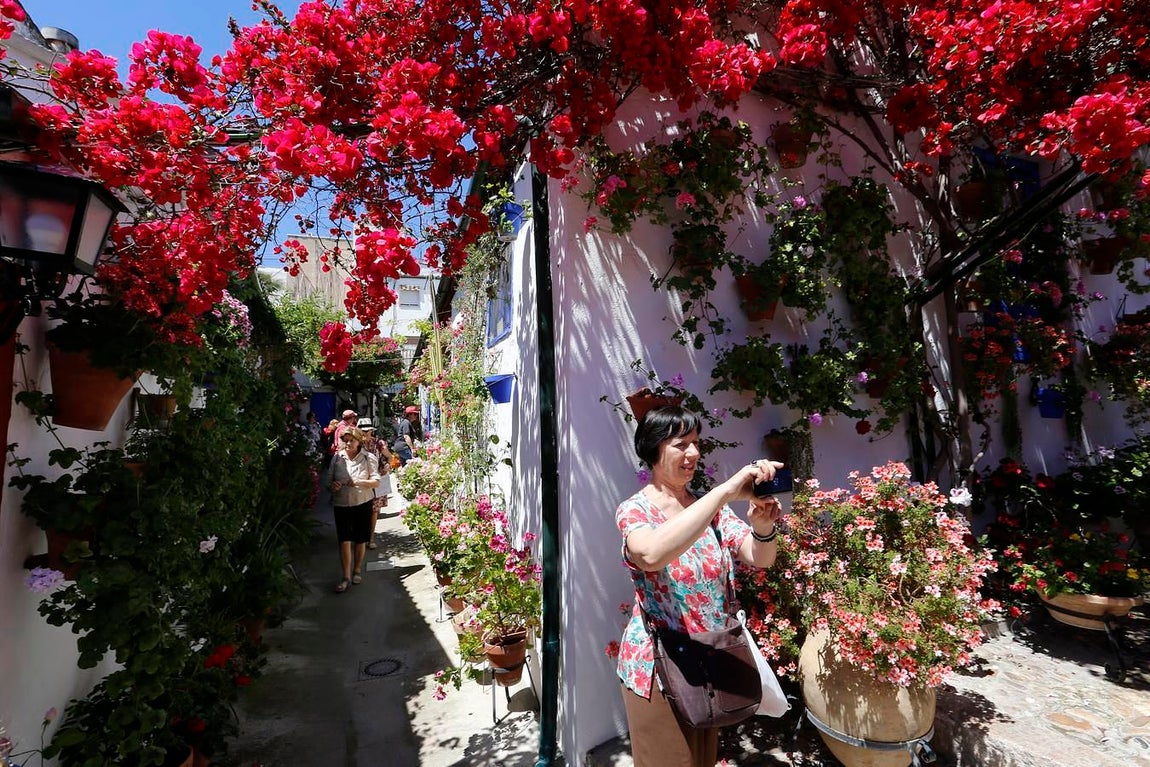 En imágenes, los Patios de Santa Marina y San Agustín en Córdoba