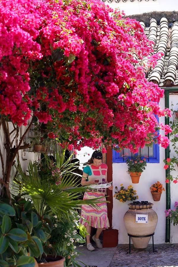En imágenes, los Patios de Santa Marina y San Agustín en Córdoba
