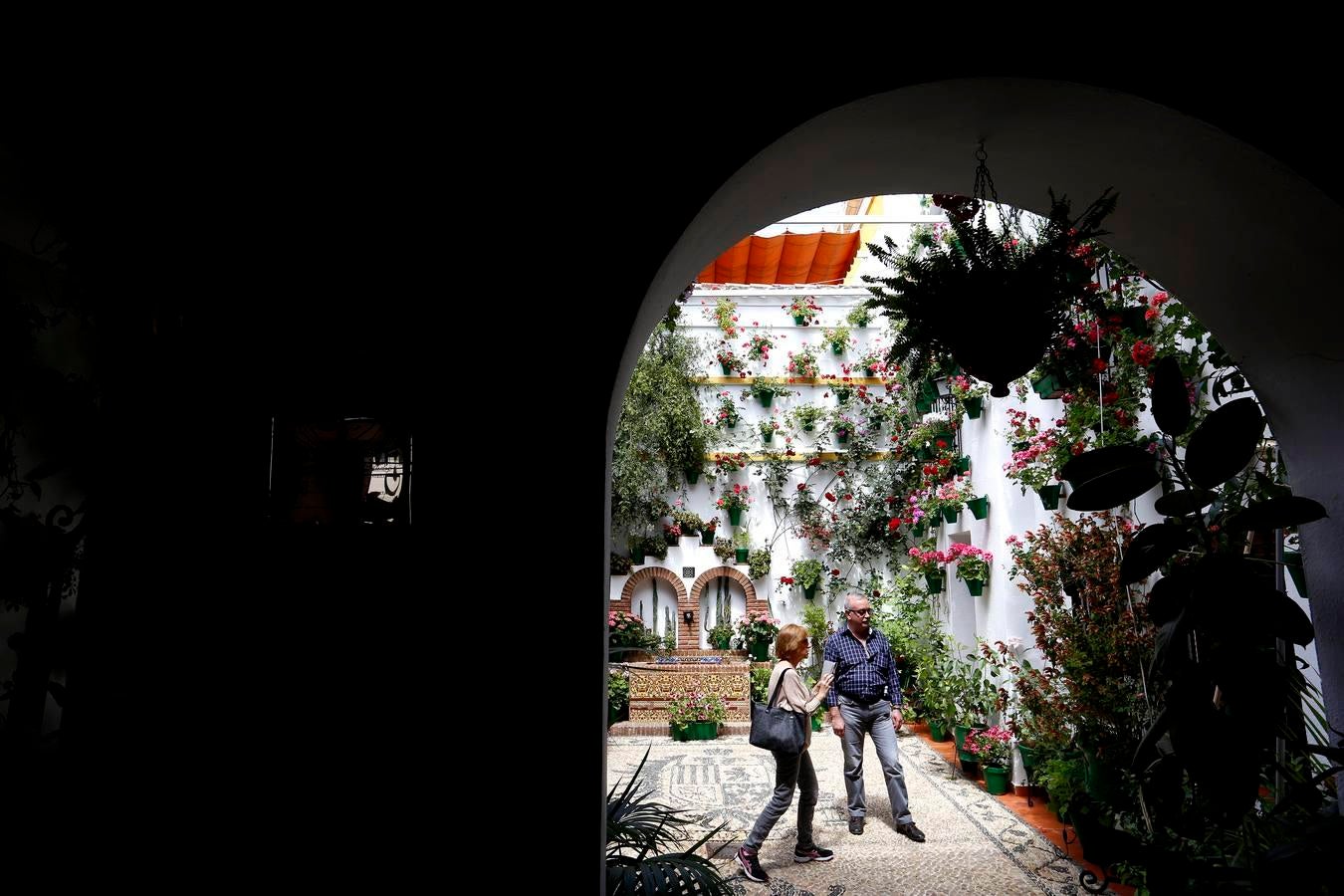 En imágenes, los Patios del Alcázar Viejo