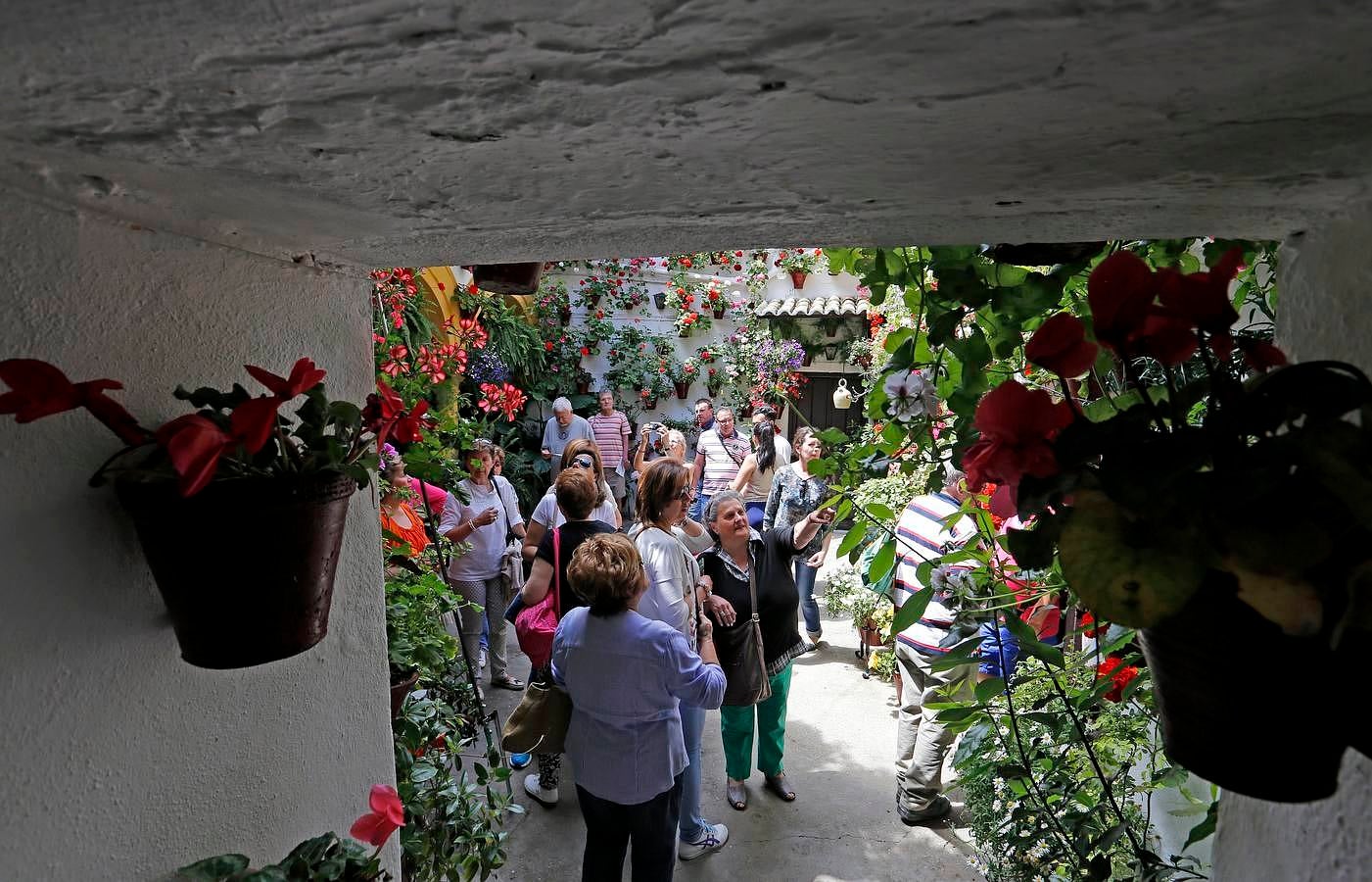 En imágenes, los Patios del Alcázar Viejo