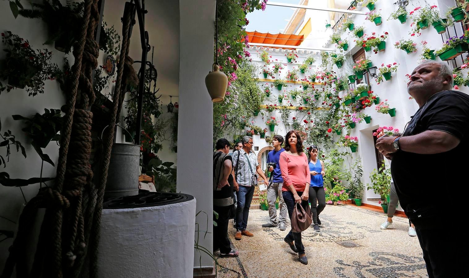 En imágenes, los Patios del Alcázar Viejo