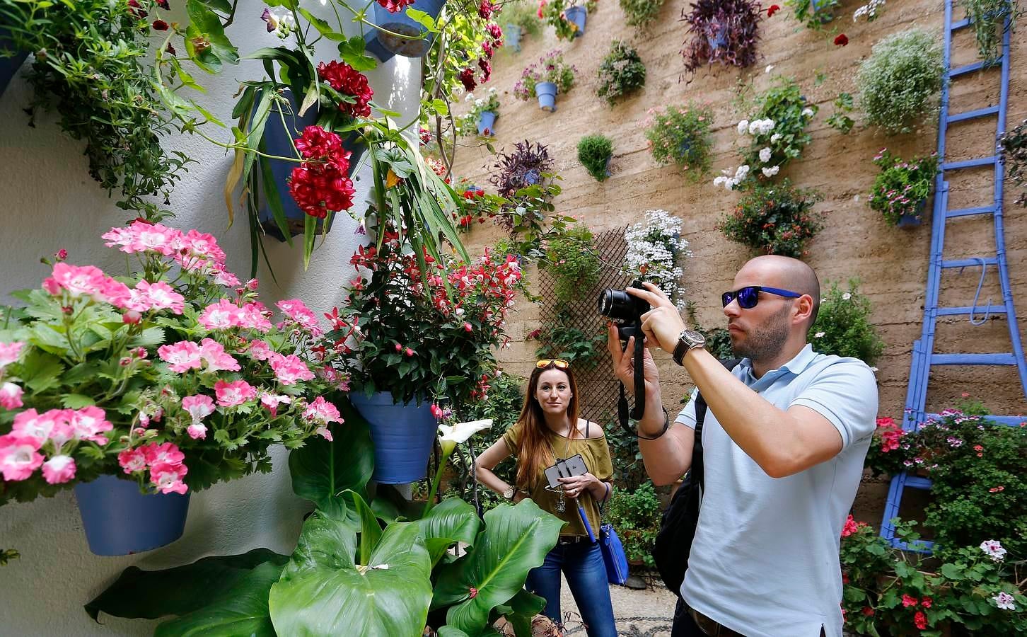 En imágenes, los Patios del Alcázar Viejo